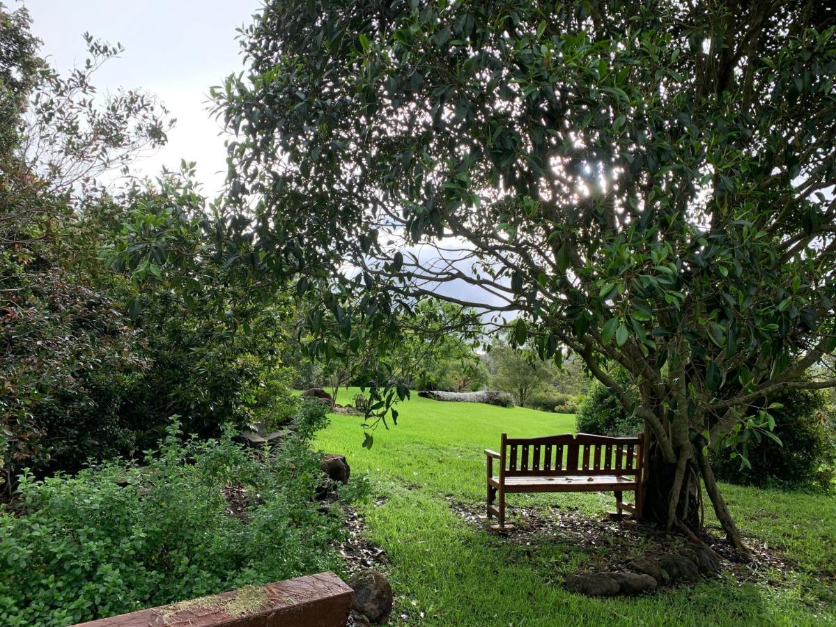 Cedarview Bed & Breakfast Beechmont Esterno foto