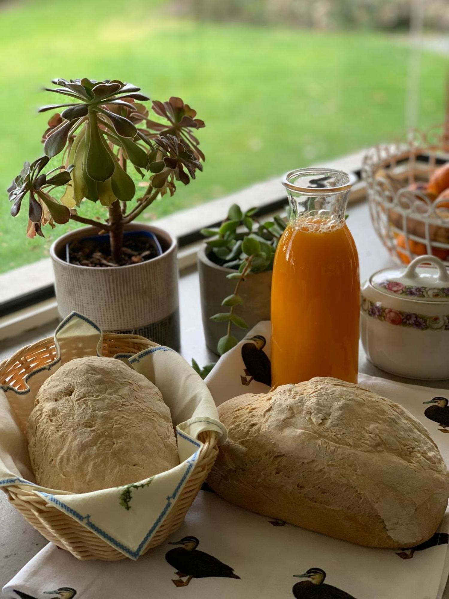 Cedarview Bed & Breakfast Beechmont Esterno foto